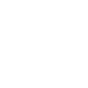 Lapland Safaris logo white